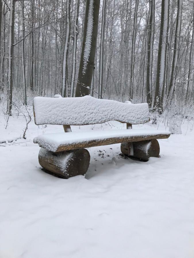 Ferienwohnung Morgensonne Am Kurpark Bad Berka - Parkplatz - Spielplatz - Wlan - 2 Schlafzimmer Екстер'єр фото